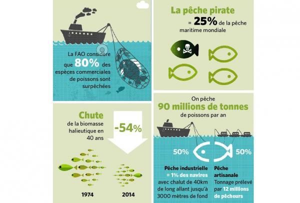 Isabelle Autissier: « A cause de la surpêche, l’océan risque d’être un désert en 2050 »