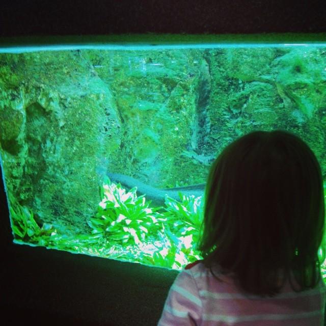 Que faire avec ses enfants quand il pleut le week-end ? Que faire avec ses enfants quand il pleut le week-end ?