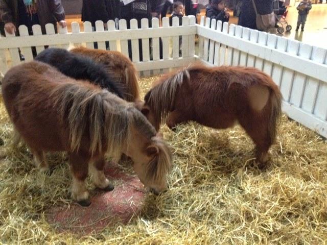 Super dimanche à l'hippodrome Super dimanche à l'hippodrome