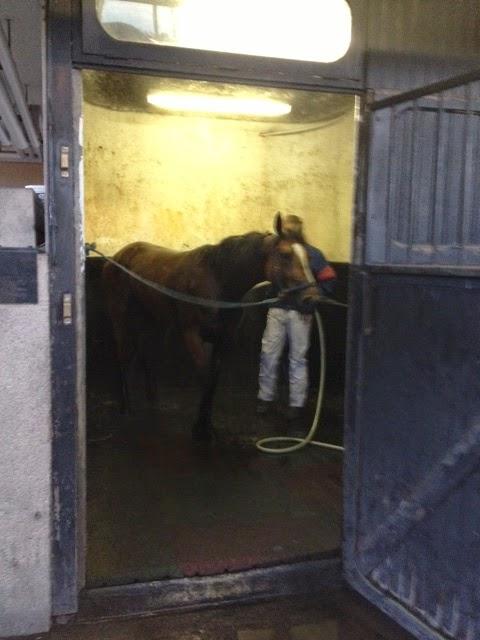 Super dimanche à l'hippodrome Super dimanche à l'hippodrome