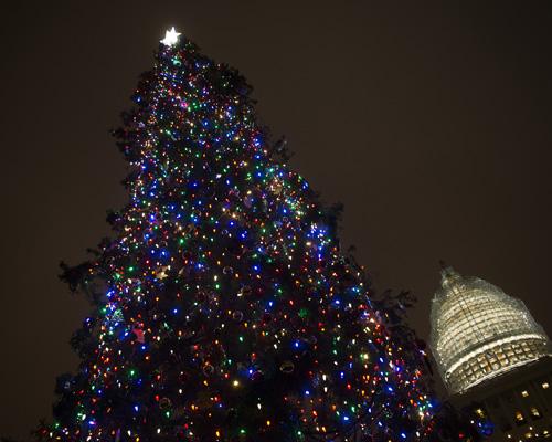 Sapin de noël Washington, États-Unis 2014