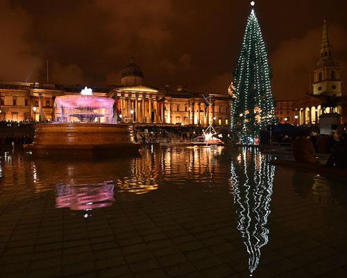 Sapin de noël Oslo 2014