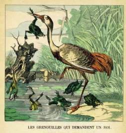 Les trésors du Chat, par Alain Gagnon… chat qui louche maykan alain gagnon francophonie