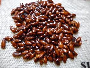 Pâte de Praliné Pâte de Praliné