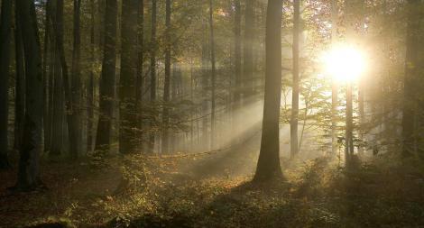 Les sept merveilles folk de la semaine #3 expointhecity.com