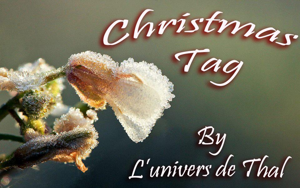 Christmas Tag : J'ai été taguée !
