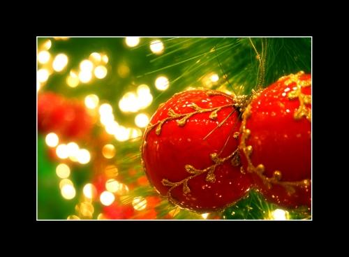 christmas, noël, holiday, season, xmas, fêtes, esprit, épreuve, grinch, hope, smith, keillor, greene, vincente, seuss, dr. seuss