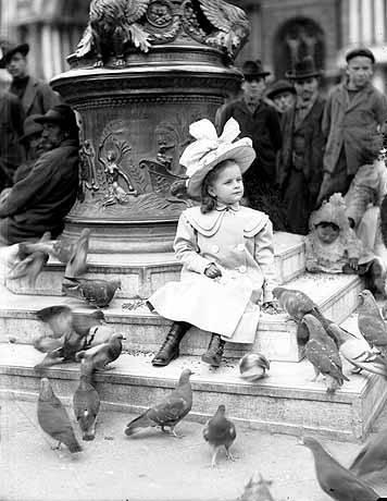 Petite fille aux pigeons