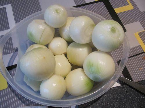 Tarte aux oignons et noix Tarte aux oignons et noix