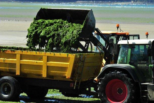 Algues vertes. L’État devra verser 7 millions d'euros aux Côtes-d'Armor L'Etat français a été condamné à rembourser au conseil général des...