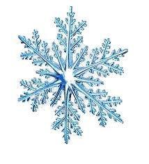 La magie des mots, par Francesca Tremblay… chat qui louche maykan alain gagnon francophonie