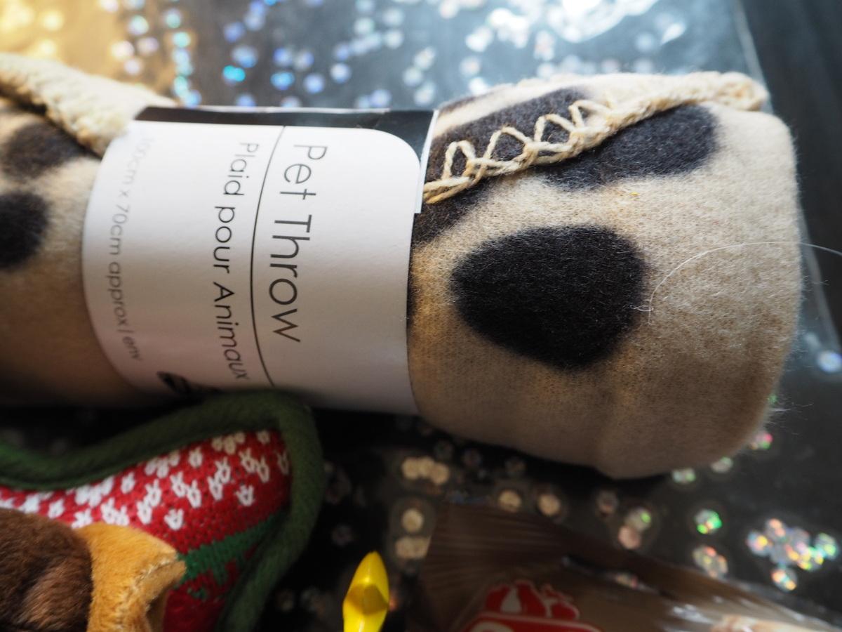 Un petit chien qui croit fort au Père Noël... Un petit chien qui croit fort au Père Noël...