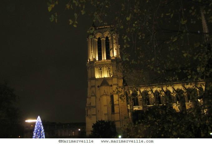 Marimerveille - Notre Dame décembre 2014