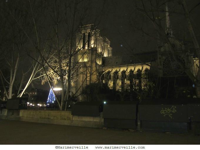 Marimerveille - Notre Dame PARIS