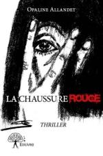 La chaussure rouge la chaussure rouge