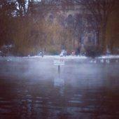 A #Budapest, les lacs fument par -10 degrés (à cause des sources chaudes qu'il y a un peu partout). Du coup les mouettes s'offrent des bains de vapeur pour se réchauffer ��