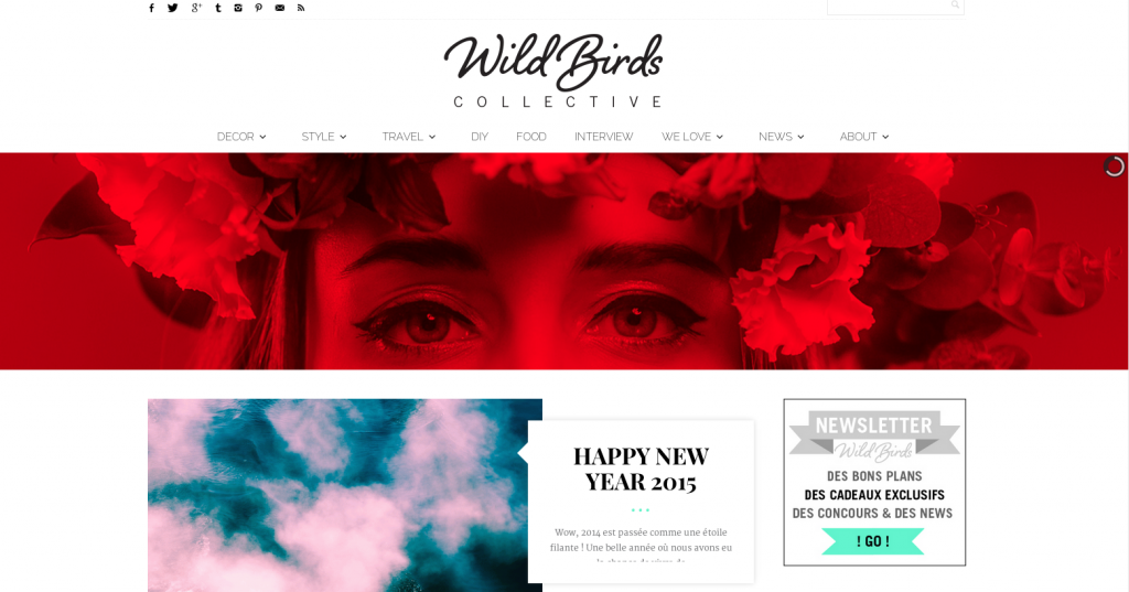 Le blog Wild Birds Collective