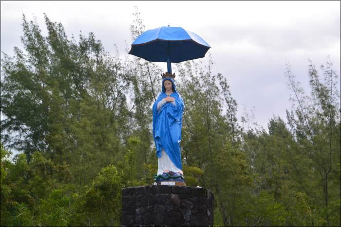 Vierge parasol (1)