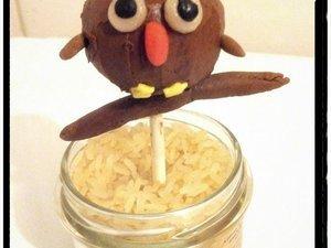 les cake-pops super chouettes ( noisette-mousse au chocolat ) les cake-pops super chouettes ( noisette-mousse au chocolat )