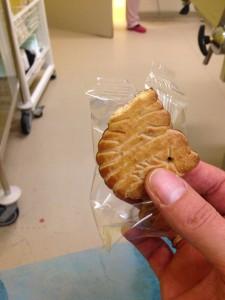 Jamais 2 sans 3 Zosia-dinosorus