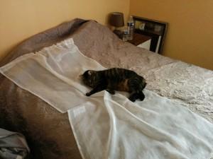 Jamais 2 sans 3 Zosia-Grysio