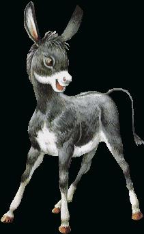 L'ane au fond du puits..... L'ane au fond du puits.....