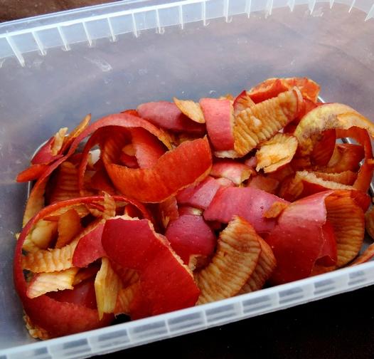 Pelures de pomme plure de pommes 1