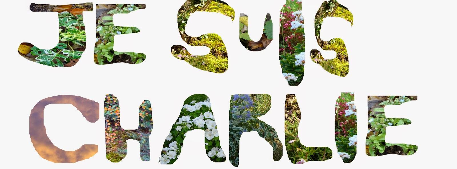 Je suis... Je suis...