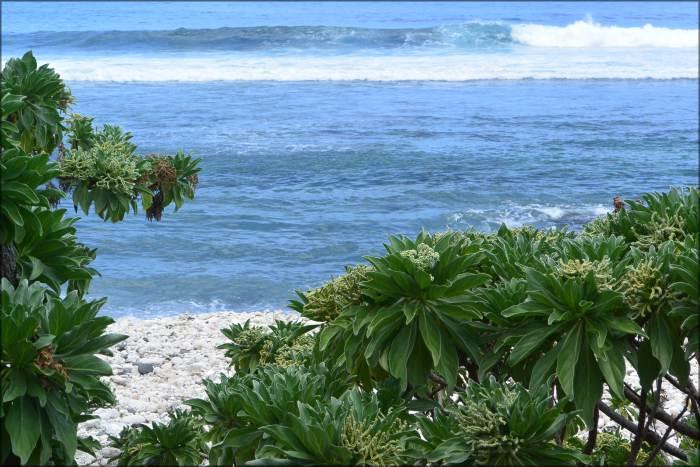 Les jolies choses #70 Spécial voyage à l’Ile de la réunion (3) St Leu (2)