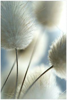 Rien qu'aujourd'hui... la beauté beauté 2