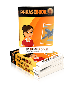 Tenez vos résolutions d’apprentissage avec la formation de MosaLingua (super promo à -40%) Tenez vos résolutions d’apprentissage avec la formation de MosaLingua (super promo à -40%)