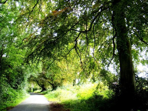 Vivre ensemble Ecole-de-Brockwood, le-Grove-et-les-environs.