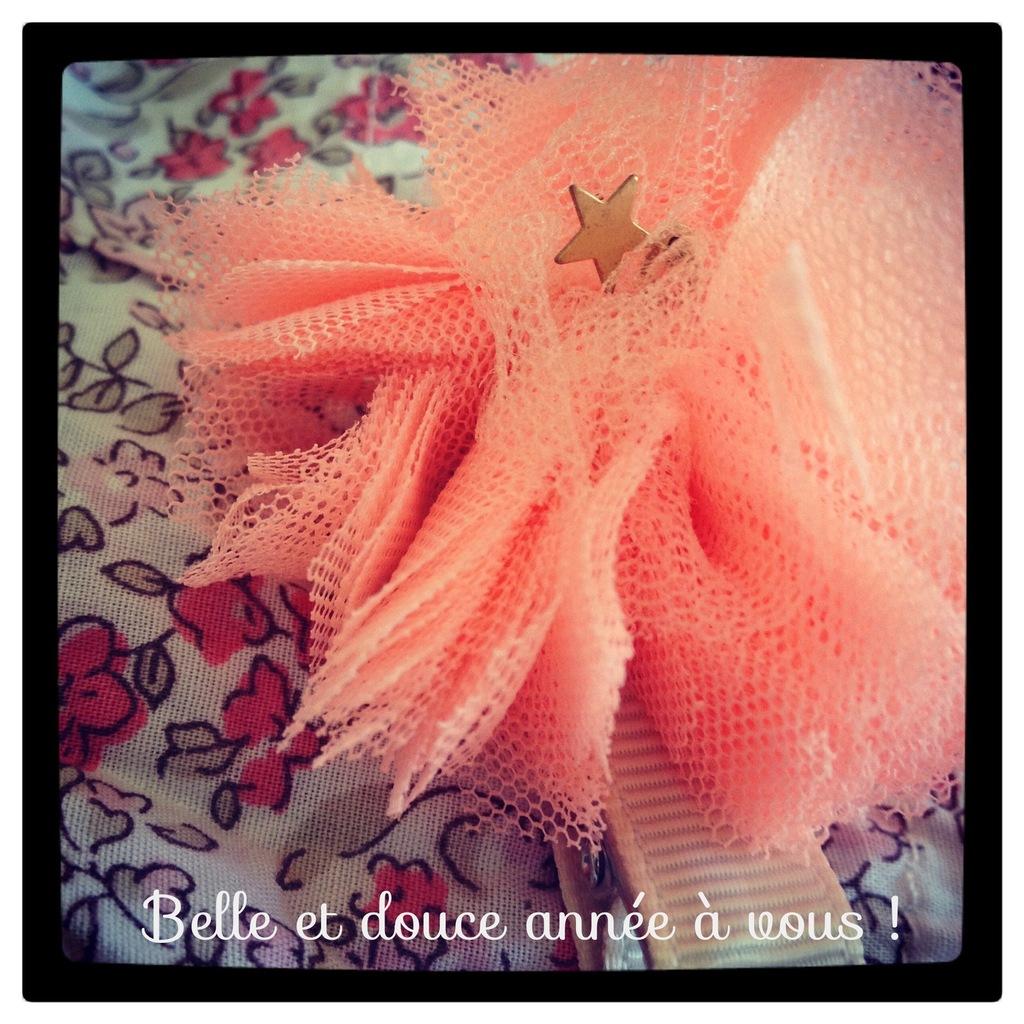 Les traditionnelles fêtes de janvier #lundisadeuxdaliceetzaza Que votre année soit aussi douce que le tissu, aussi aérienne que la tulle et aussi fleurie que le Liberty ! #mouahahah #jeris