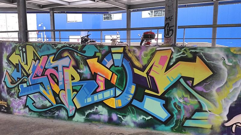 De nouvelles fresques à la gare de Vernier! 20150106_122745-sssssssss.jpg