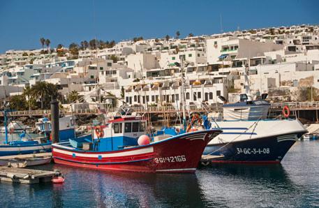 Plongée Canaries : formez-vous pour rencontrer le Requin Ange aux îles Canaries ! PuertoDelCarmen