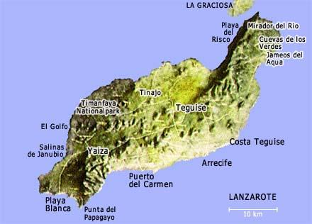 Plongée Canaries : formez-vous pour rencontrer le Requin Ange aux îles Canaries ! lanzarote