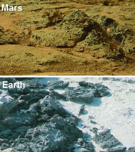 En bas, structures rocheuses érodées par des colonies microbiennes à Carbla Point, en Australie occidentale. En haut, roches martiennes photographiées par Curiosity, présentant des caractéristiques similaires