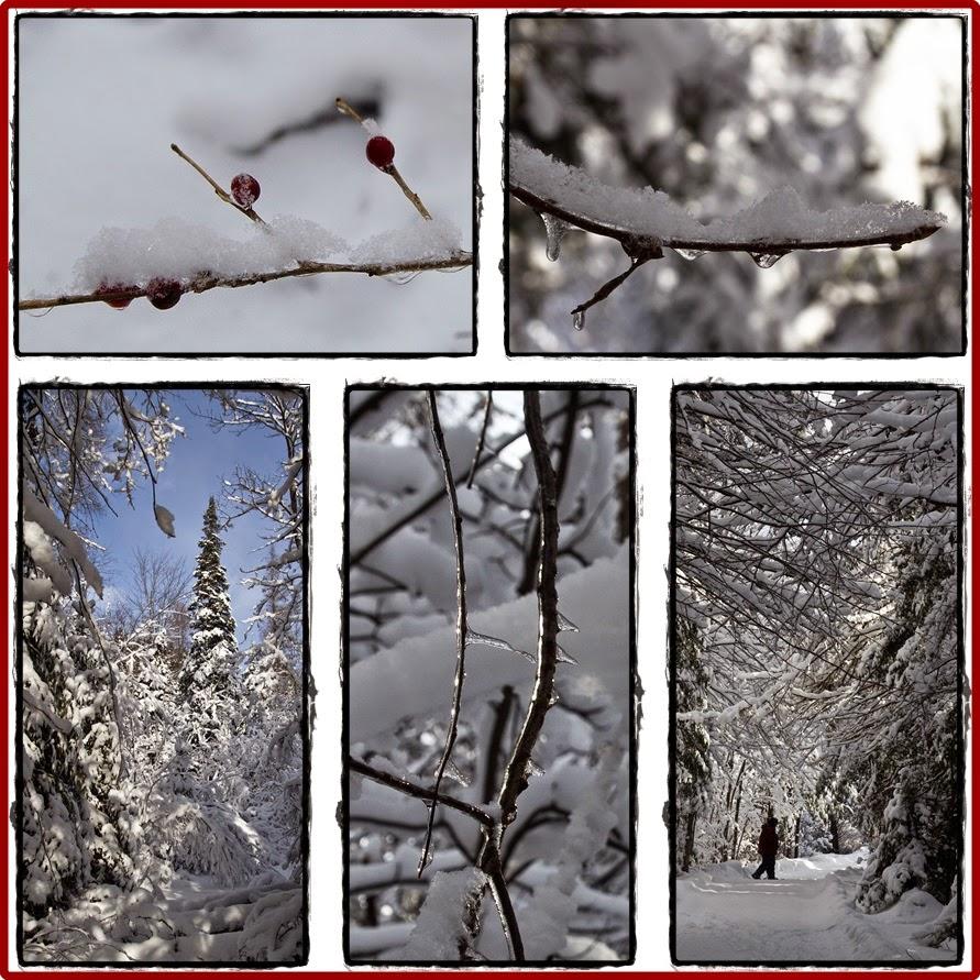 De la beauté de mon hiver... au Québec