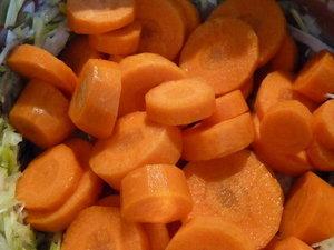 Blanquette de dinde, poireaux et carottes