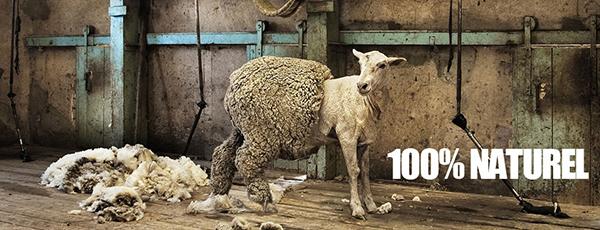 Feutre foulĂŠ 100% laine naturelle par Laoureux