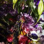 ART : Iced Flowers by Azuma Makoto ART : Iced Flowers by Azuma Makoto