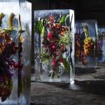 ART : Iced Flowers by Azuma Makoto ART : Iced Flowers by Azuma Makoto