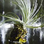 ART : Iced Flowers by Azuma Makoto ART : Iced Flowers by Azuma Makoto