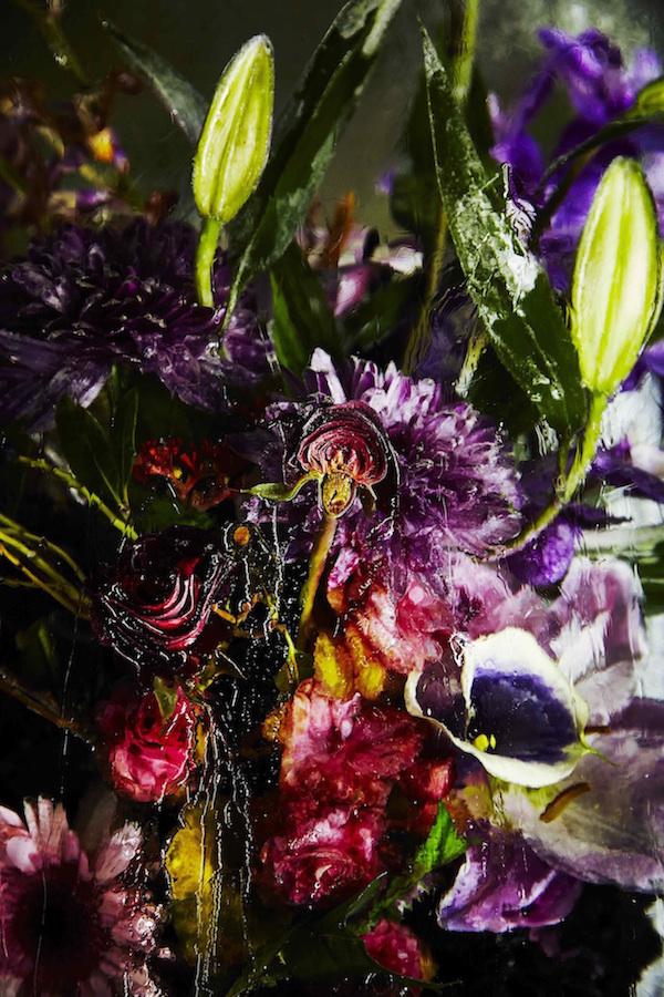 ART : Iced Flowers by Azuma Makoto makotoazuma13