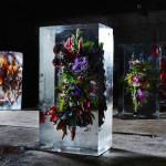 ART : Iced Flowers by Azuma Makoto ART : Iced Flowers by Azuma Makoto