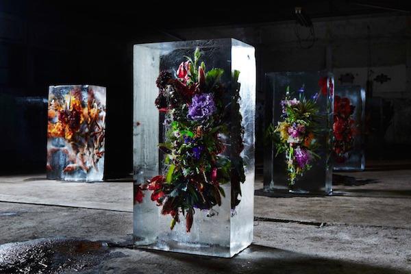 ART : Iced Flowers by Azuma Makoto makotoazuma12