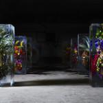 ART : Iced Flowers by Azuma Makoto ART : Iced Flowers by Azuma Makoto