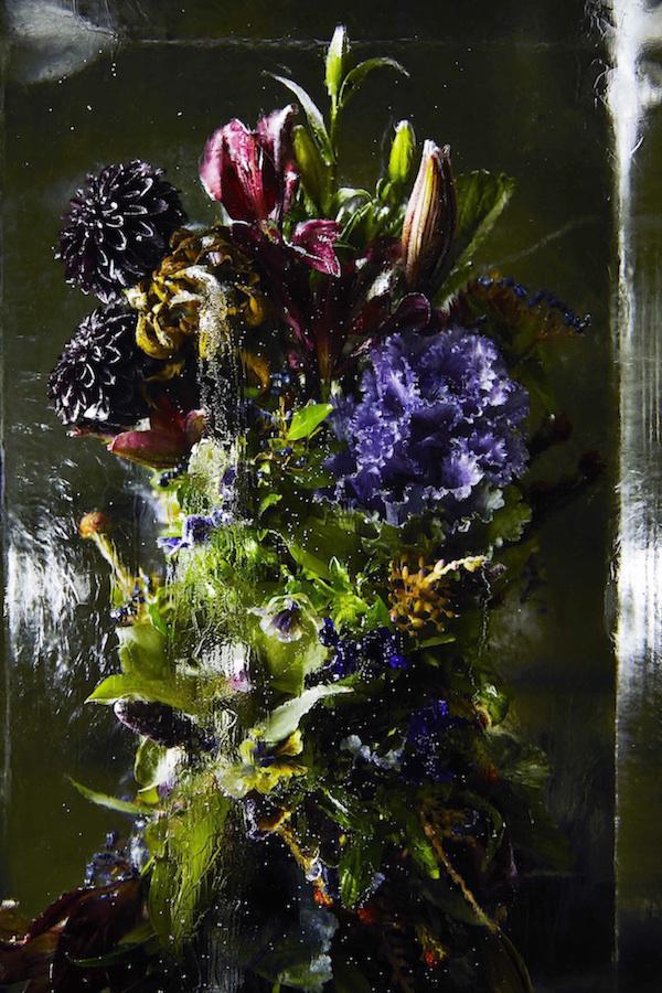ART : Iced Flowers by Azuma Makoto makotoazuma5