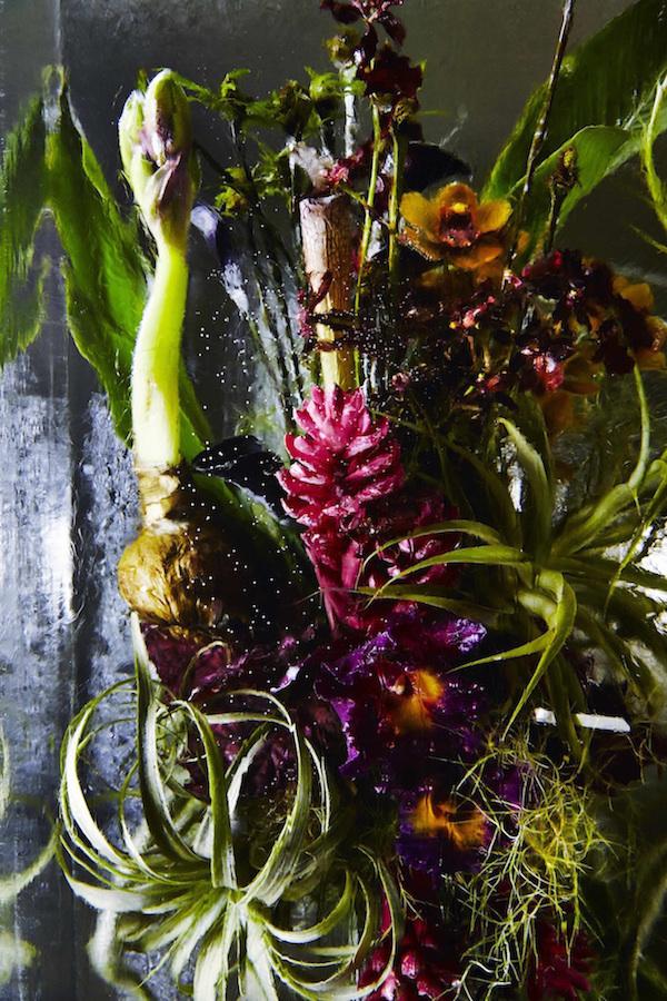 ART : Iced Flowers by Azuma Makoto makotoazuma2