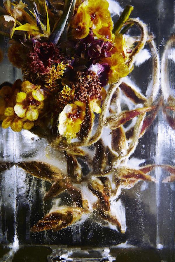 ART : Iced Flowers by Azuma Makoto makotoazuma4
